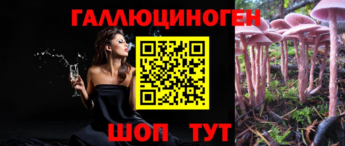 Псилоцибиновые грибы GOLDEN TEACHER Тавда